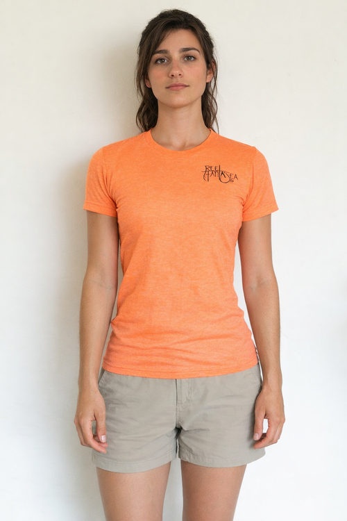 Seahorse Women's T-Shirt